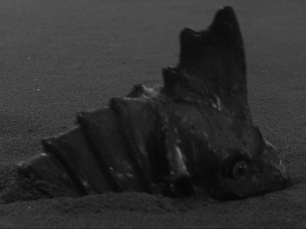The Outer Limits: 1963 - The Invisible Enemy
