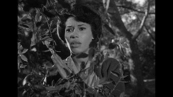 The Outer Limits: 1963 - The Mice