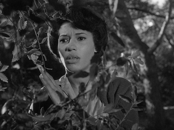 The Outer Limits: 1963 - The Mice