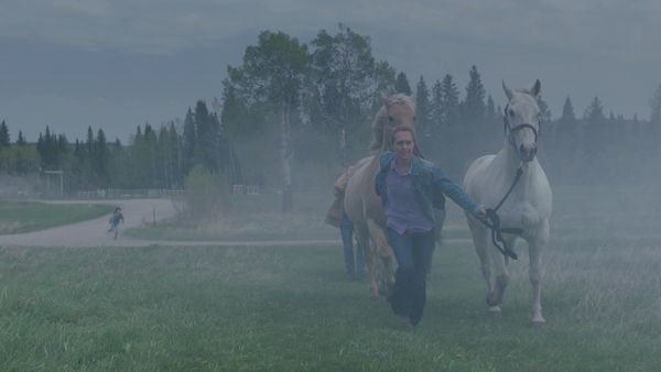 Heartland - The Eye of the Storm