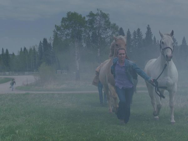 Heartland - The Eye of the Storm