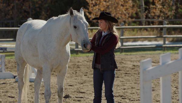 Heartland - Reunion