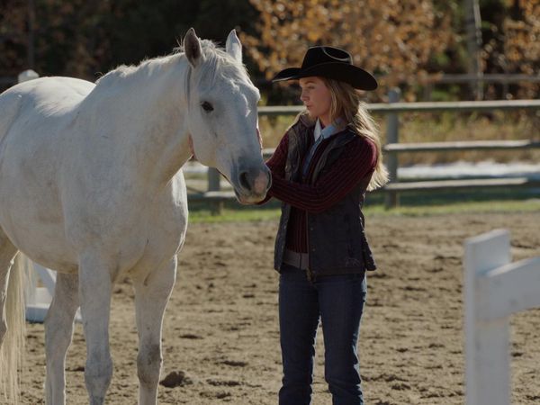 Heartland - Reunion