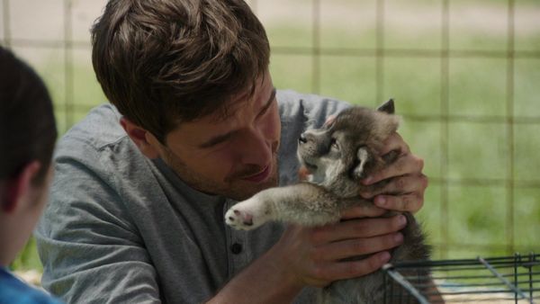 Heartland - Endings and Beginnings