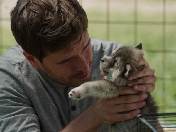 Heartland - Endings and Beginnings