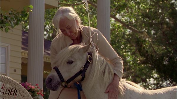 Heartland - Nothing for Granted