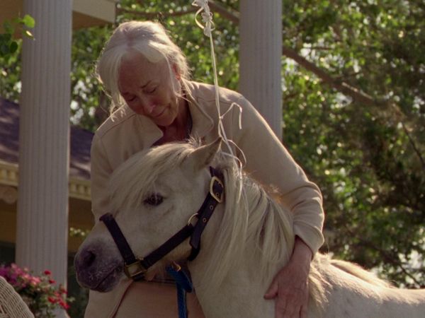 Heartland - Nothing for Granted