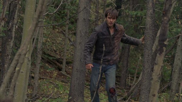Heartland - Aftermath