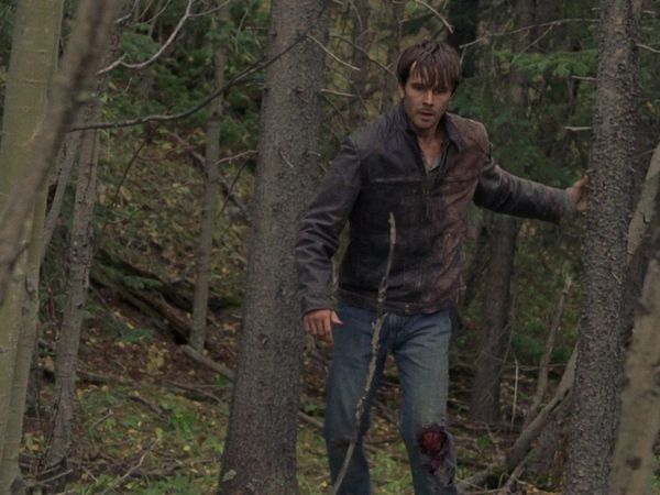 Heartland - Aftermath