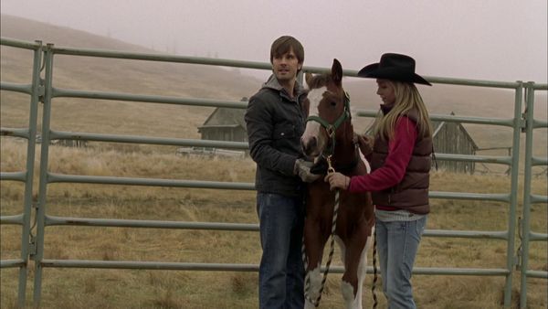 Heartland - Wild Horses