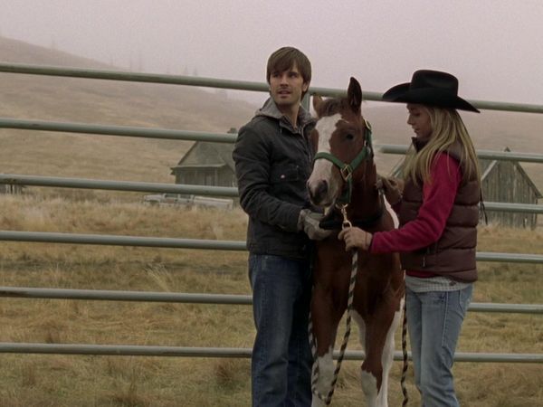 Heartland - Wild Horses