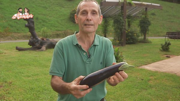 A bocados - A bocados 15