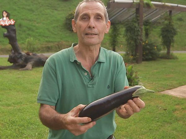 A bocados - A bocados 15
