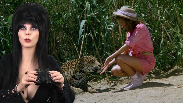 13 Nights of Elvira - Cannibal Women in the Avocado Jungle of Death