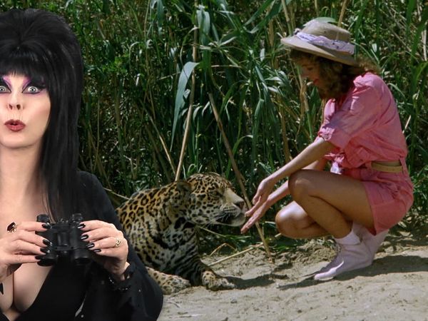 13 Nights of Elvira - Cannibal Women in the Avocado Jungle of Death