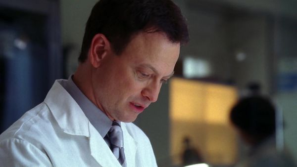 CSI: New York en español - Tanglewood (S1 Ep13)