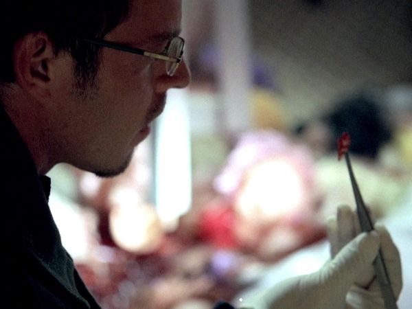 CSI: New York en español - Hospital de muñecas