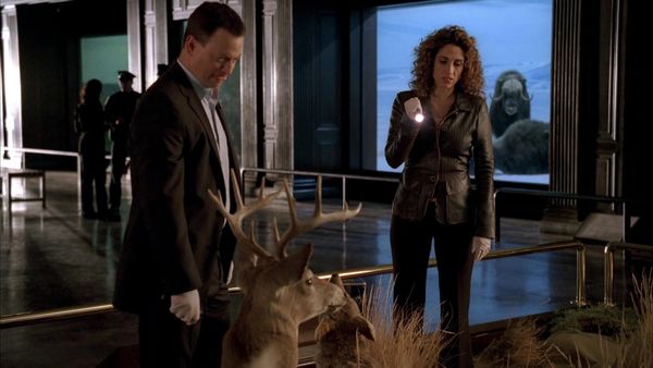 CSI: New York en español - Necrofilia americana