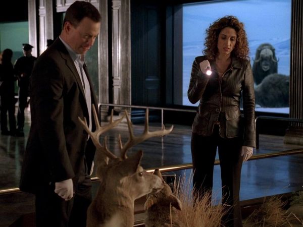 CSI: New York en español - Necrofilia americana