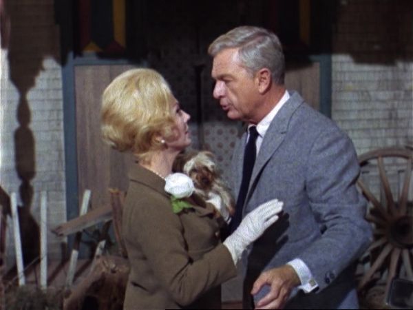 Green Acres - The Best Laid Plans