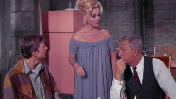 Green Acres - The Wedding Anniversary
