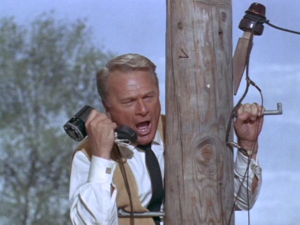 Green Acres - Don't Count Your Tomatoes Before They're Picked