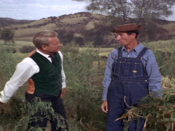 Green Acres - Eb Elopes