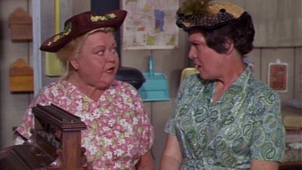 Green Acres - How To See South America By Bus