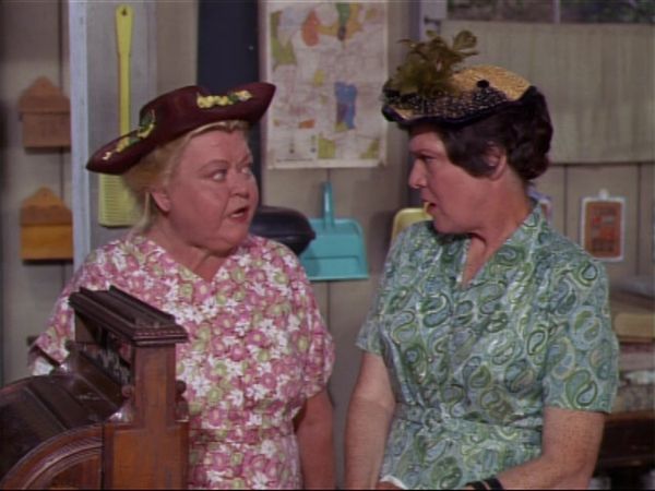 Green Acres - How To See South America By Bus