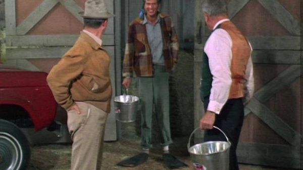 Green Acres - Lisa Has A Calf
