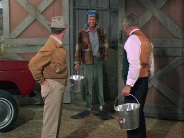 Green Acres - Lisa Has A Calf