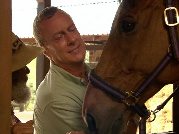 Wild At Heart - Episode 9