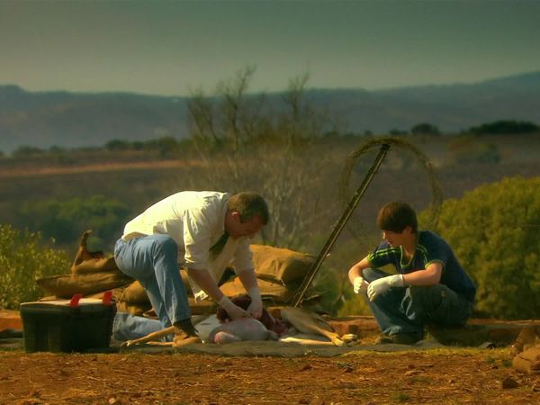 Wild At Heart - Episode 2
