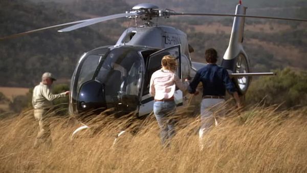 Wild At Heart - Meerly Evan