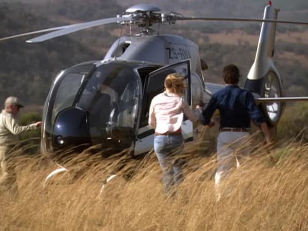 Wild At Heart - Meerly Evan