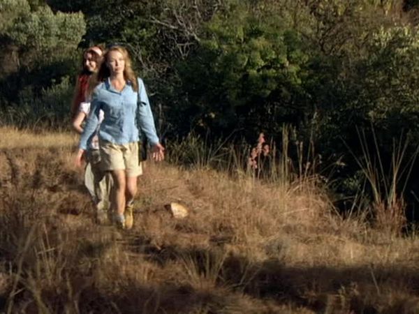 Wild At Heart - Breakfast Nyala