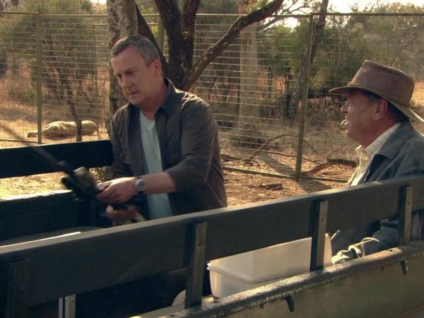 Wild At Heart - Episode 1