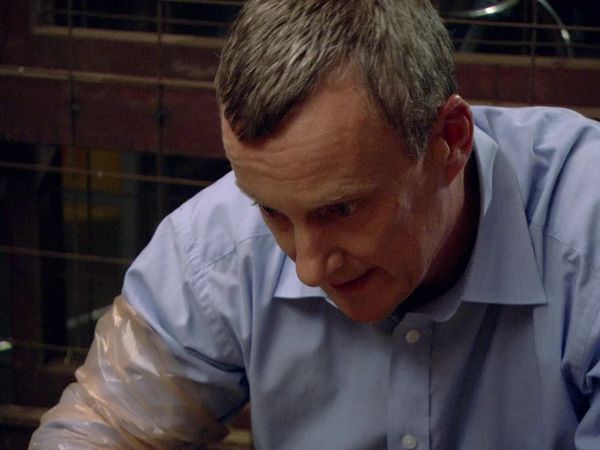 Wild At Heart - Episode 8