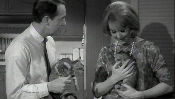 The Patty Duke Show - Three Little Kittens