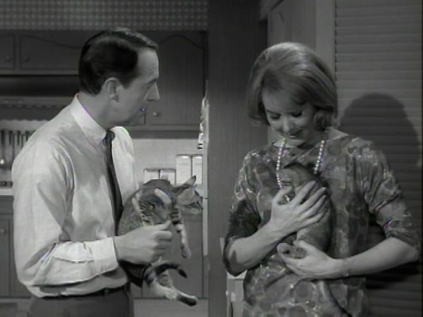 The Patty Duke Show - Three Little Kittens