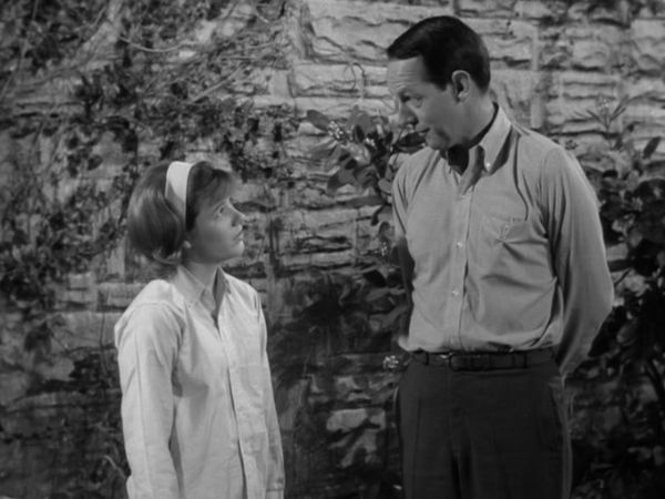The Patty Duke Show - Patty The Master Builder