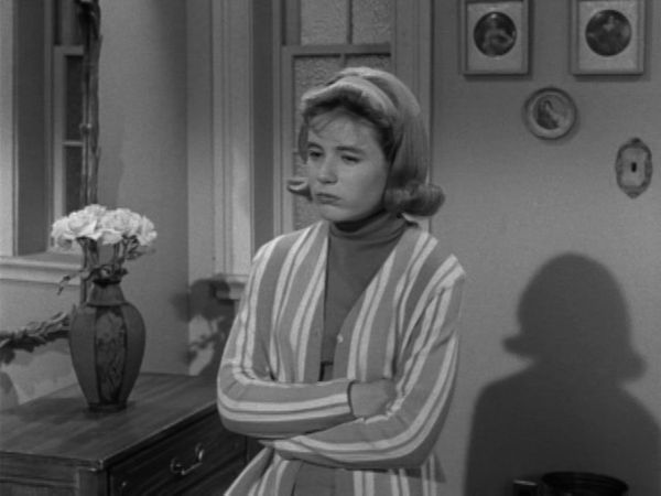 The Patty Duke Show - The Con Artists