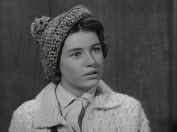 The Patty Duke Show - Cousins