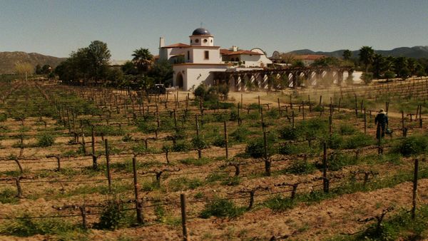 Fear the Walking Dead - Sicut Cervus