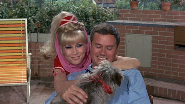 I Dream Of Jeannie - Djinn, Djinn, el flautista