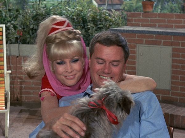 I Dream Of Jeannie - Djinn, Djinn, el flautista