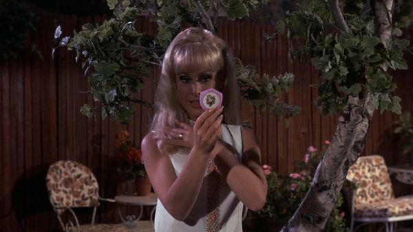 I Dream Of Jeannie - Mi hermana, la destructora de hogares