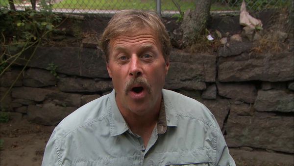 This Old House Outdoor Living Marathon - Outdoor Living Marathon Episode 16