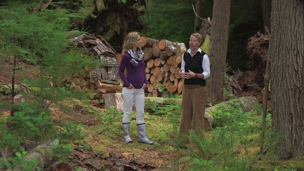 Chalets de la Côte Ouest - De la yourte au chalet sans fenêtre