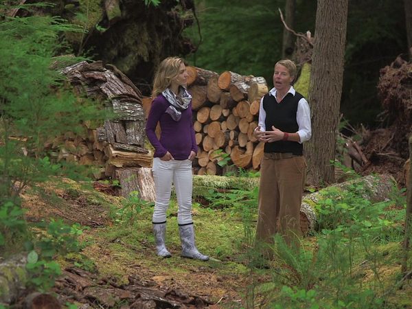 Chalets de la Côte Ouest - De la yourte au chalet sans fenêtre